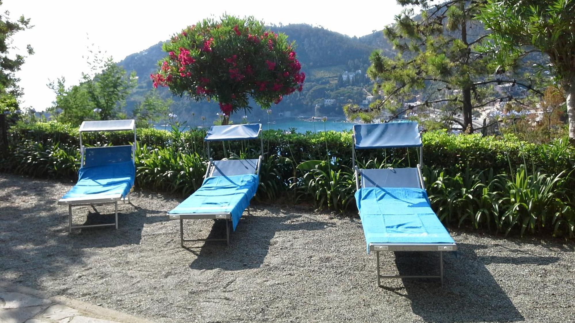 Villa Mimosa Splendida Vista Mare โบนัสโซลา ภายนอก รูปภาพ