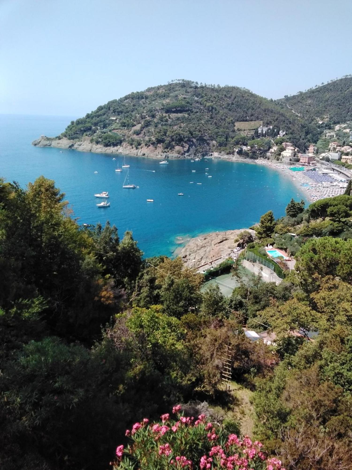 Villa Mimosa Splendida Vista Mare โบนัสโซลา ภายนอก รูปภาพ