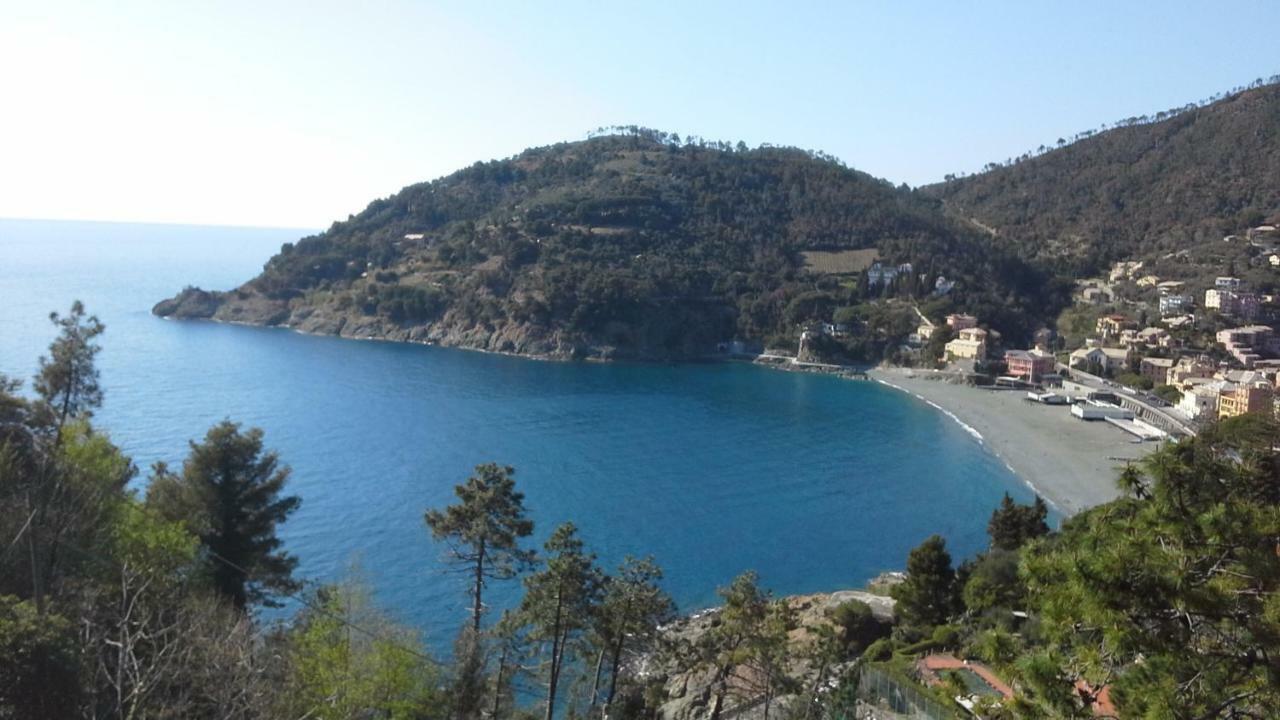 Villa Mimosa Splendida Vista Mare โบนัสโซลา ภายนอก รูปภาพ